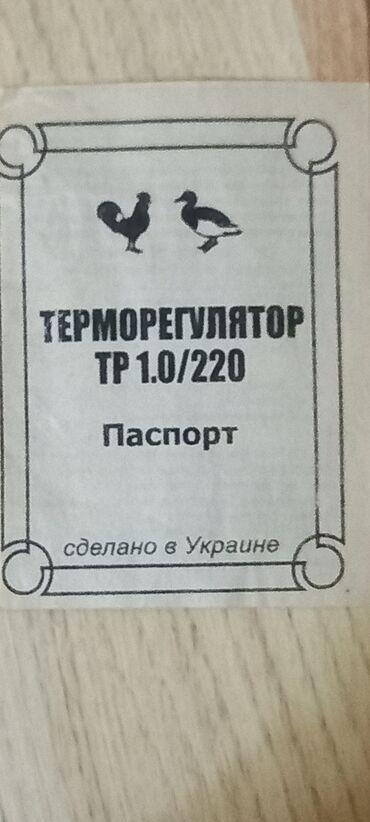 İnkubatorlar: İstiliyi tənzimləyən cihaz (Терморегулятор) - İstədiyiniz istilik — 8