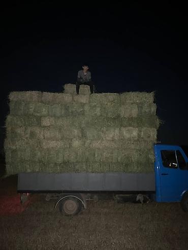 Сено в тюках - Прессованные прямоугольные тюки (удобны для перевозки