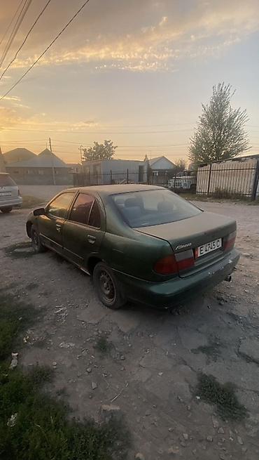 ниссан пулсар: Nissan Primera: 1995 г., 1.8 л, Механика, Бензин, Седан — 2