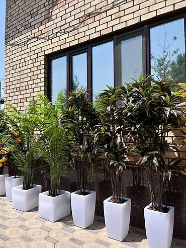 Декоративные цветы: 🌿✨ Mayram Decor.kg – искусственные деревья и цветы в Бишкеке ✨🌿 — 15