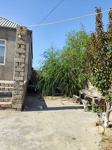 pirallahida ev satilir: 4 otaqlı, 120 kv. m, Kredit yoxdur, Təmirsiz — 8