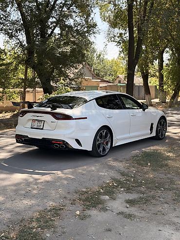 кия шума2: Kia Stinger: 2019 г., 3.3 л, Автомат, Бензин, Лифтбек — 6