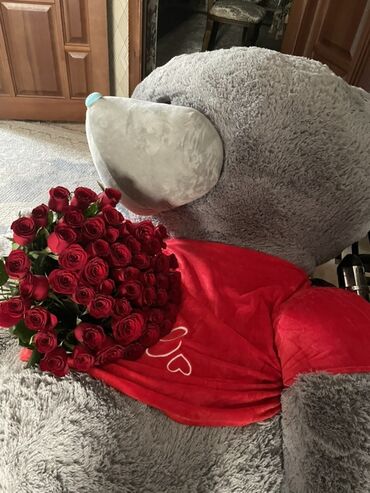 прокат костюма мишки тедди: Чоң куурчак, Тедди