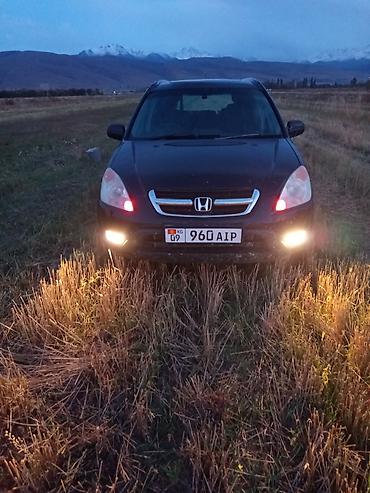 Транспорт: Honda CR-V: 2002 г., 2 л, Автомат, Бензин, Кроссовер — 2