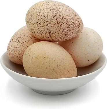 qizil baliq satisi: Mayalı hinduşka yumurtası SATILIR. Xahiş olunur kimə lazımdır qeyd — 2