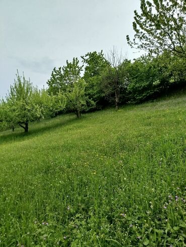 Torpaq sahələrinin satışı: 24 sot, Biznes üçün, Mülkiyyətçi, Kupça (Çıxarış) — 6