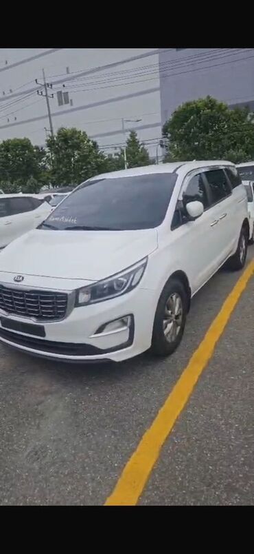 авто расрочка бишкек: Kia Carnival: 2019 г., Автомат, Дизель, Минивэн