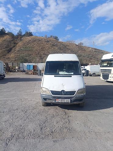 Mercedes-Benz Спринтер: 2001 г., Бус
