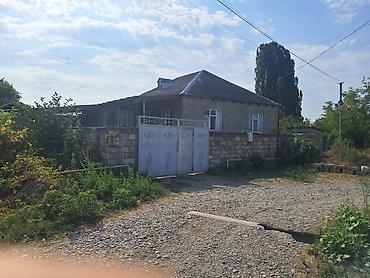 seki torpaq: 52 sot, Kənd təsərrüfatı, Kupça (Çıxarış) — 10