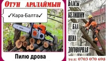 темир алуу: Пилю дрова Мбанк нет . Отун Аралаймын Мбанк жок