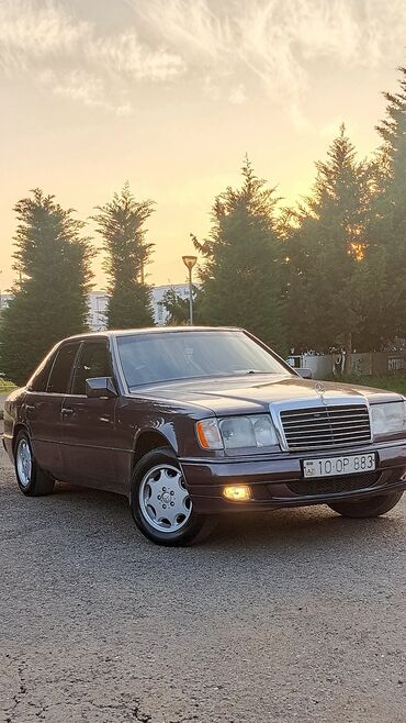 Disk təkərlər: İşlənmiş Disk təkər AMG 205 / 65 / R 15, 5 Boltlu