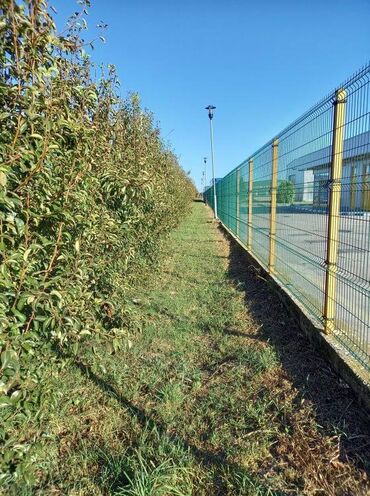 Prodaja zemljišta: Poljoprivredno zemljište — 16