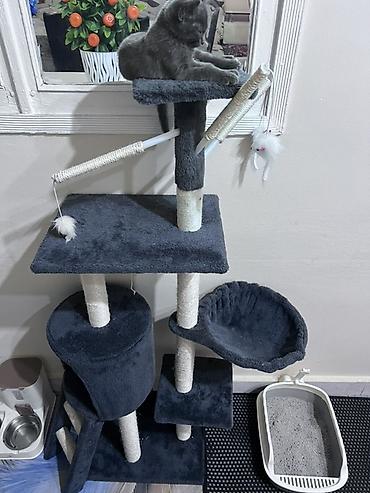 киси миси: Игровой комплекс для кошек с когтеточками - Многоуровневая — 3