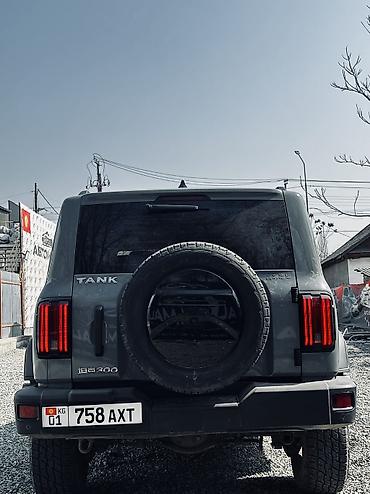 Tank: Tank 300: 2022 г., 2 л, Бензин — 4