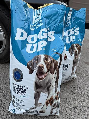 bahali itler: Endirimli qiymət . yararlanmaq üçün tələsin . DoG’s Up itlər üçün quru — 2