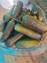 ароматизаторы для дома бишкек: Капуста Пекин lalafo.kg да ароматизаторы для дома бишкек: Капуста Пекин