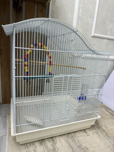 миска для животных: Продается клетка для попугаев или других небольших птичек. В идеальном