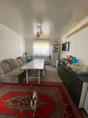 Продажа коттеджей и домов: ЭКСКЛЮЗИВНЫЙ ВАРИАНТ СРОЧНО 🏡 Продаётся дом с участком 📍 с. Арчалы ( — 4