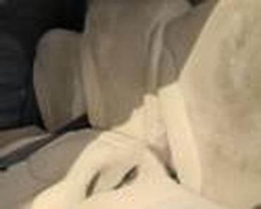 auto vero cacak: SEDIŠTA ZA LANCIA PHEDRA OD 2000. DO 2006. GOD. | cena je po komadu — 6