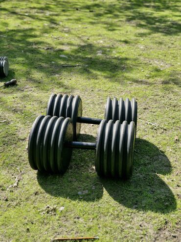 Giryalar: Girya, Yeni — 21