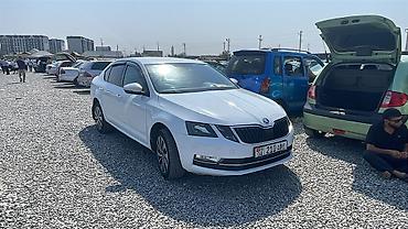 полироль авто: Skoda Octavia: 2019 г., 1.6 л, Автомат, Бензин, Седан — 1