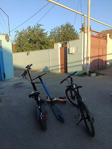 пенни борд купить: Velosiped + skuter dəsti - Şəhər və park sürüşləri üçün uyğun — 1