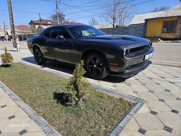 куплю машыну: Dodge Challenger: 2018 г., 3.6 л, Автомат, Бензин, Купе