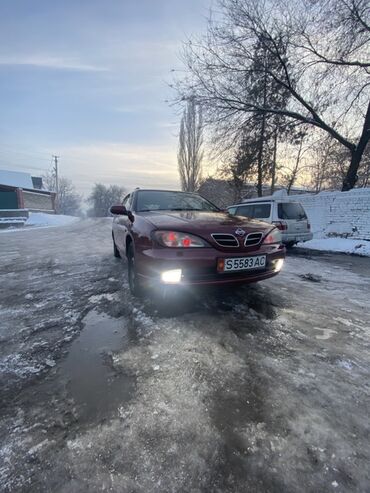 Nissan: Nissan Primera: 1999 г., 2 л, Вариатор, Газ, Универсал at lalafo.kg — 2 Nissan: Nissan Primera: 1999 г., 2 л, Вариатор, Газ, Универсал — 2