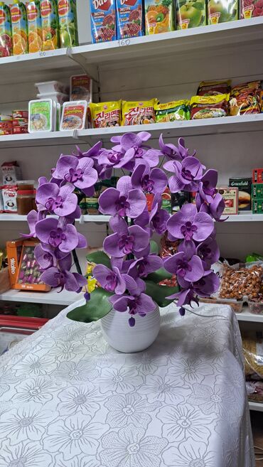 Утепленные жилеты: Орхидея 
Орхидея светильник 
Цветы Бишкек
Светильник 
Ручнаяработа — 11