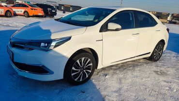 к5 2018: Toyota Prius: 2018 г., 1.8 л, Типтроник, Электромобиль, Седан