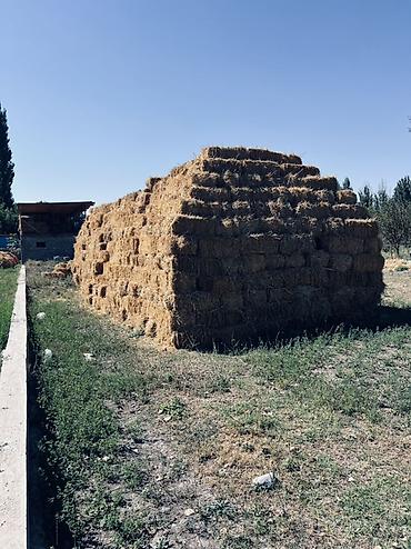 пойтер: Арпа саман камыш аралаш 1400 тук бар — 2