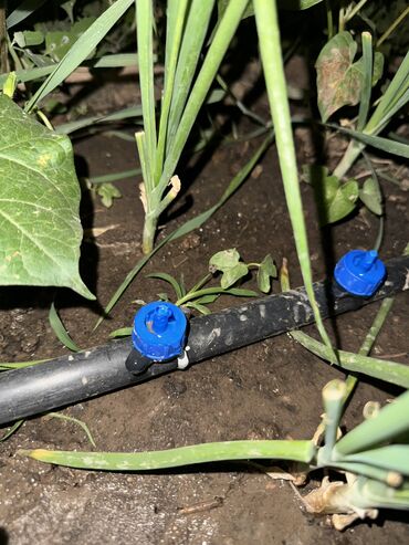 паяльник для пластика: КАПЕЛЬНЫЙ ПОЛИВ “ПОД КЛЮЧ” 💧🌿 Установим систему, которая поливает