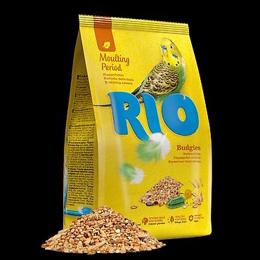 tutuquşu jumbo: RIO quş yemi – gündəlik qidalanma üçün tam rasion - Növlər: Budgies — 2
