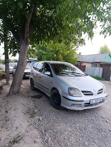Nissan: Nissan Almera Tino: 2000 г., 1.8 л, Механика, Бензин, Хэтчбэк