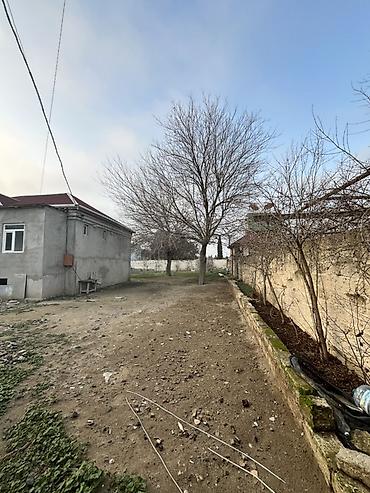 alatava ev: 10 sot, Tikinti, Mülkiyyətçi, Kupça (Çıxarış) — 8