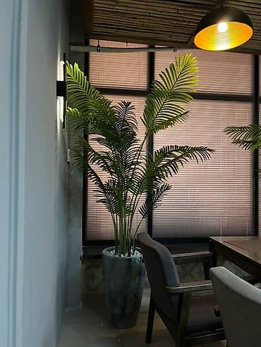 хвойные растения: Instagram: Mayram.decor.kg Искусственное дерево с пышной зеленой — 4