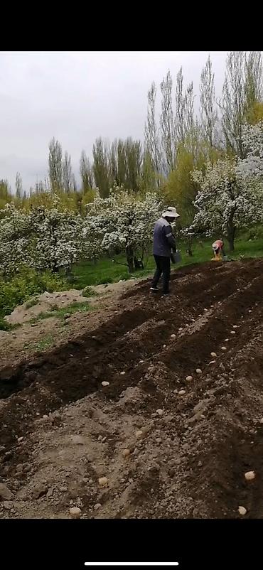 искра участок: 50 соток, Для бизнеса — 3