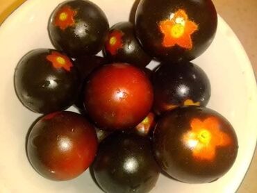 Povrće, voće: Seme domaćih sorti paradajza Opis: - Raznovrsne stare i egzotične — 3