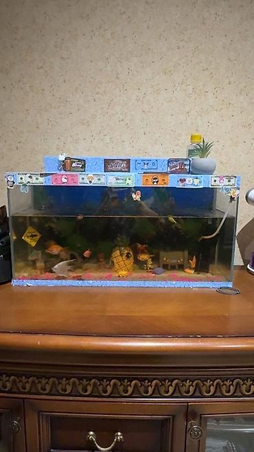 Dördbucaq akvarium, Boş, 20 l, Ünvandan götürmə
