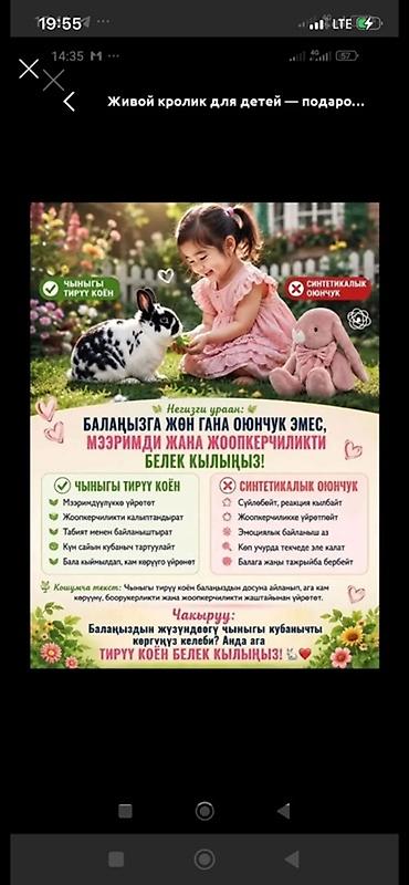 Продаю | Крольчата | Декоративная