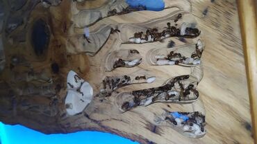 Heyvanlar üçün digər mallar: Hər ölçüdə hər dizaynda qarışqa yuvaları yığılır səliqəli və təmiz — 10