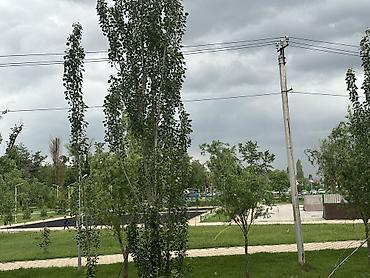 Продажа квартир: 2 комнаты, 67 м², Индивидуалка, 4 этаж, Евроремонт — 10
