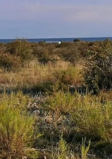 жилой дом с земельным участком: 10 соток, Для сельского хозяйства, Красная книга — 4