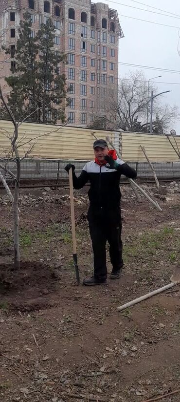 Спил деревьев, заготовка дров: Обрезка деревьев!!! Сезонная обрезка плодовых деревьев!!! Зима — 1