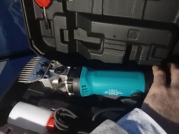 mal qoyun: Elektrikli qoyun qırxma maşını – daşıma çantası ilə - Təyinat: qoyun — 3