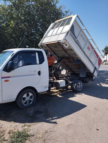 колонка с микрафоном: Вывоз строй мусора, По городу, с грузчиком