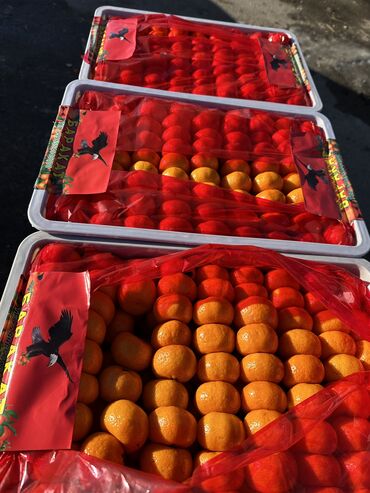 комплексный обед доставка: Сочныевкусные мандарины для домакорпоратива 1ящик-1500 сом -10 кг