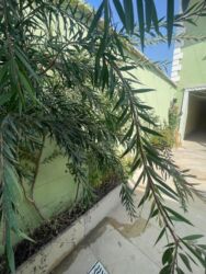 Həyət evləri və villaların satışı: Biləcəri 5 otaqlı, 180 kv. m, Kredit yoxdur, Yeni təmirli — 4