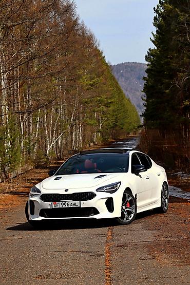 Kia Stinger: 2020 г., 2 л, Автомат, Бензин, Фастбек