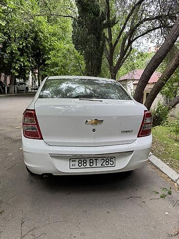 cobalt disk: Chevrolet Cobalt sedan nömrə sığorta alınıb yenidir – ağ rəng — 2